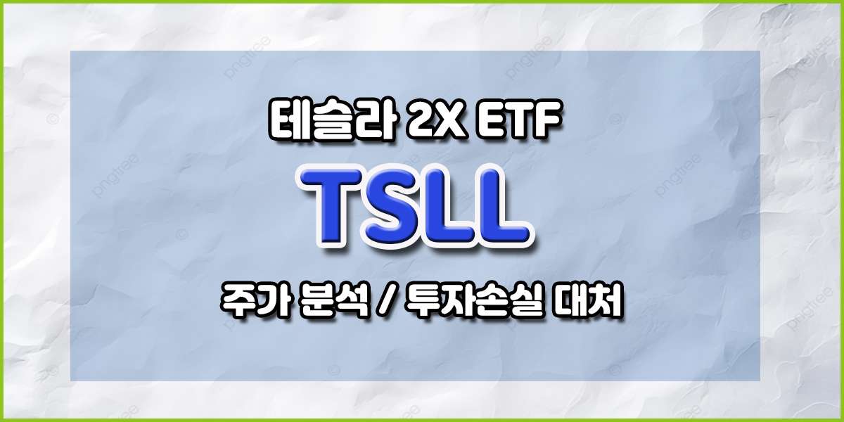 TSLL 주가 테슬라 2배 레버리지 ETF 분석 테슬라 투자 손실 대처 방안