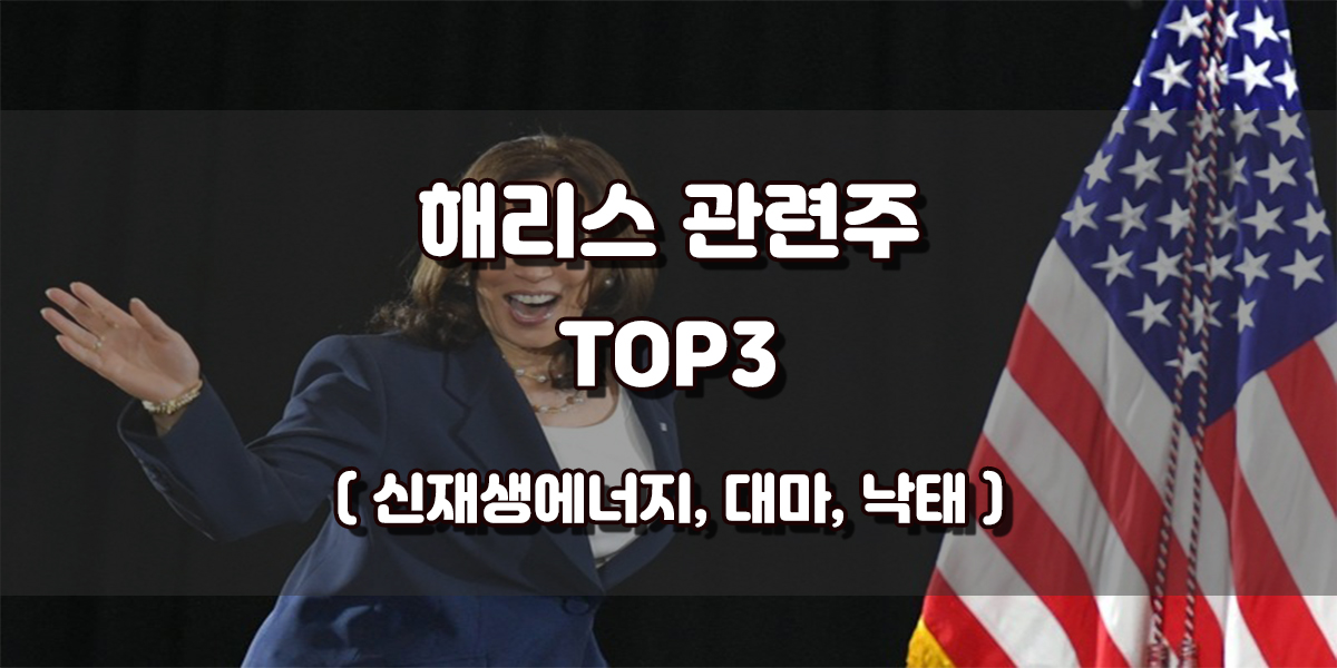 3%▲ 미국 대선 해리스 지지율 상승 해리스 관련주 TOP3 신재생에너지 마리화나 낙태권 관련주 실제로 해리스의 지지율은 점점 상승하고 있습니다. 민주당 전당대회를 앞두고 카멀라 해리스 미국 부통령이 도널드 트럼프 전 대통령에 대한 여론조사 결과 격차가 더 벌어졌습니다. 최근 다수의 여론 조사에서 해리스 부통령은 가상대결에서 트럼프 전 대통령을 3%포인트 이상 앞선다는 성적표를 받았습니다. 이렇게 해리스 부통령의 지지율이 상승하면서 트럼프 전 대통령과의 격차를 벌리자 해리스 부통령이 당선됐을 경우 수혜를 보는 해리스 관련주 가 주목받고 있습니다.