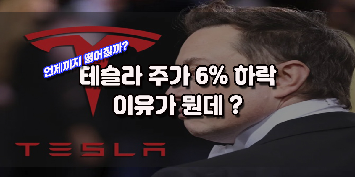 -6%대 하락, 테슬라 주가 언제까지 떨어질까? 오픈AI 인수제안, 트럼프 대통령 관세 정책, 일론 머스크의 정치적 행보, 테슬라 내부 임원들 대규모 주식 매도 등 테슬라 주가 하락 이유 알아보기